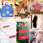 PooLin EOC06 Your First Flagship Home Embroidery Machine